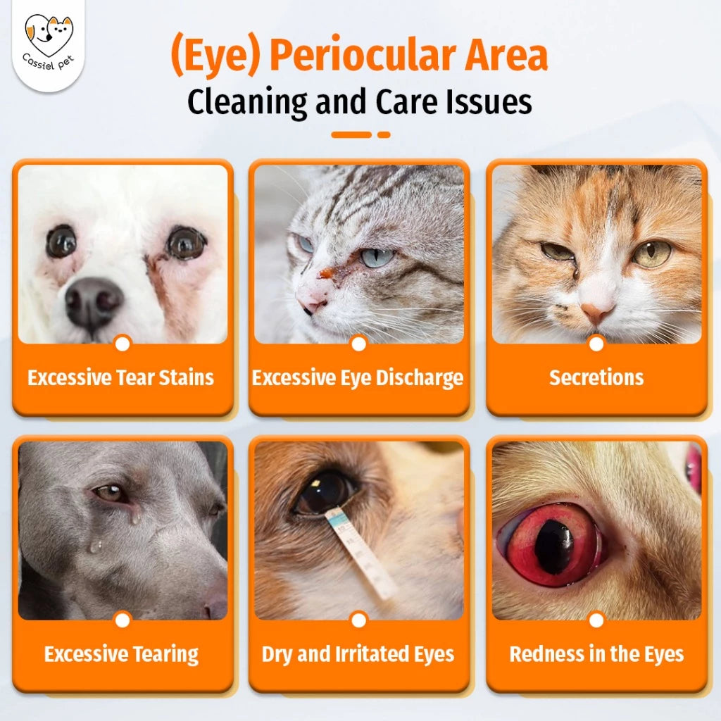 Cassiel Pet Eye Wash 100ml