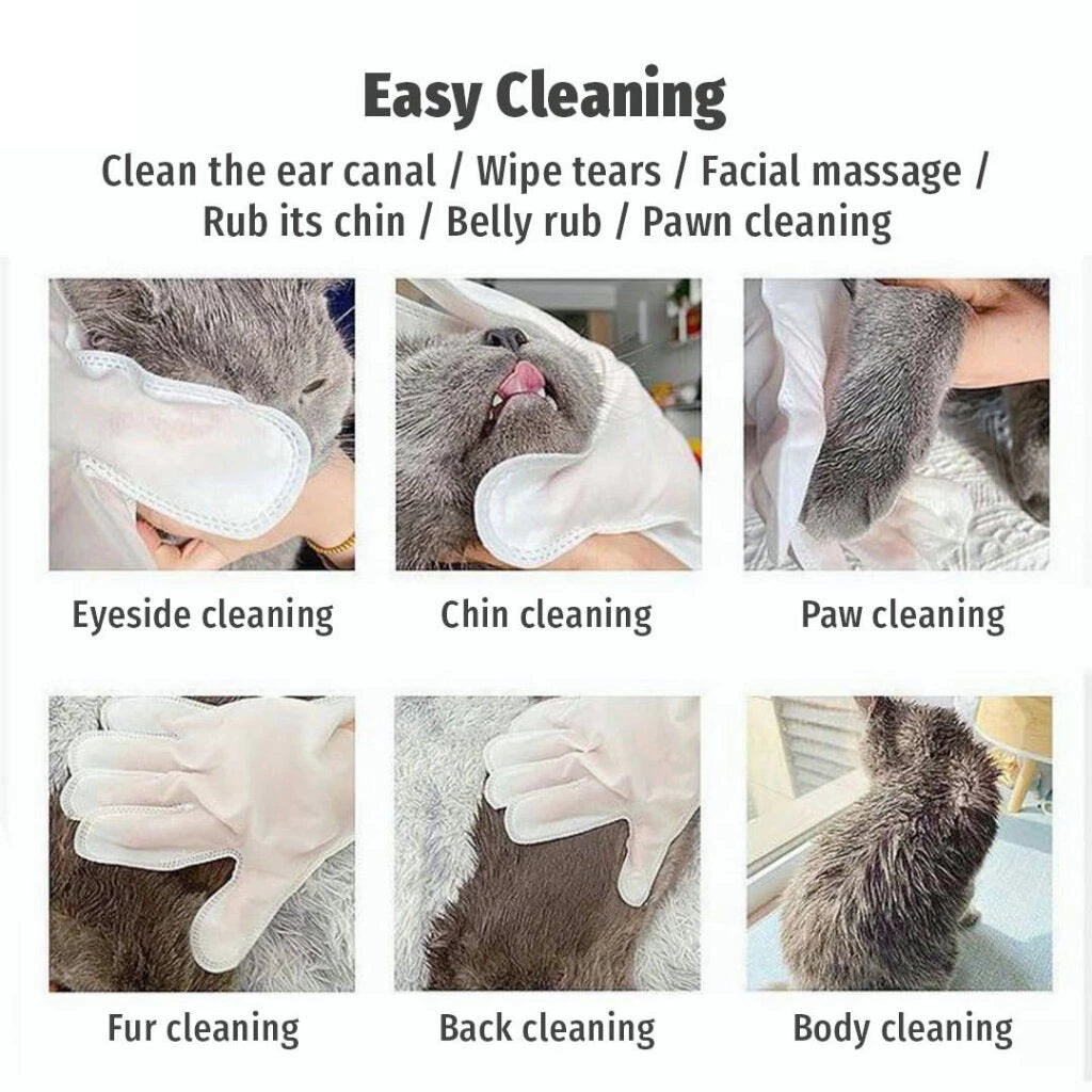 Cassiel Pet Spa Cleaning Gloves 6pcs