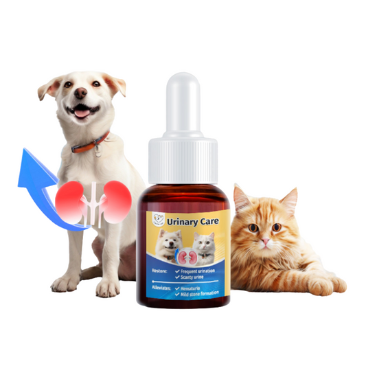 Cassiel Pet Urinary Tract Nutritional Supplements 25ml